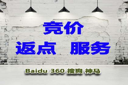 SEM竞价托管实战案例解析